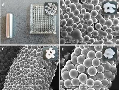 The induction of bone formation by 3D-printed PLGA microsphere scaffolds in a calvarial orthotopic mouse model: a pilot study